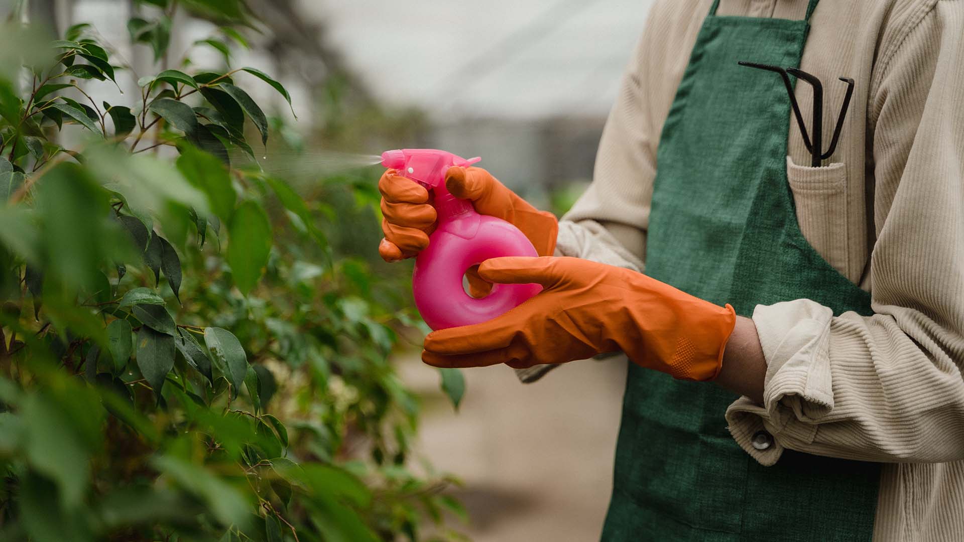 https://www.gloves.com/cdn/shop/articles/best-disposable-gloves-for-gardening-watering-can-1.jpg?v=1700657367&width=1920